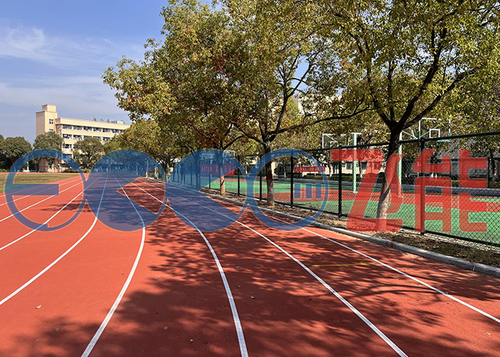 Sports Centre Prefabricated Running Track2