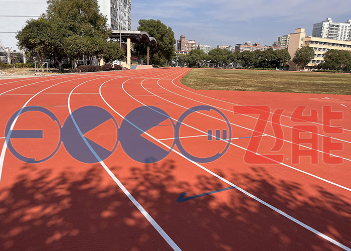 Sports Centre Prefabricated Running Track3