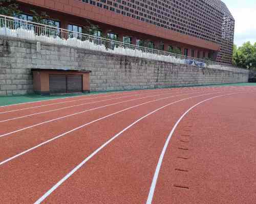 Hybrid rubber Running Track7